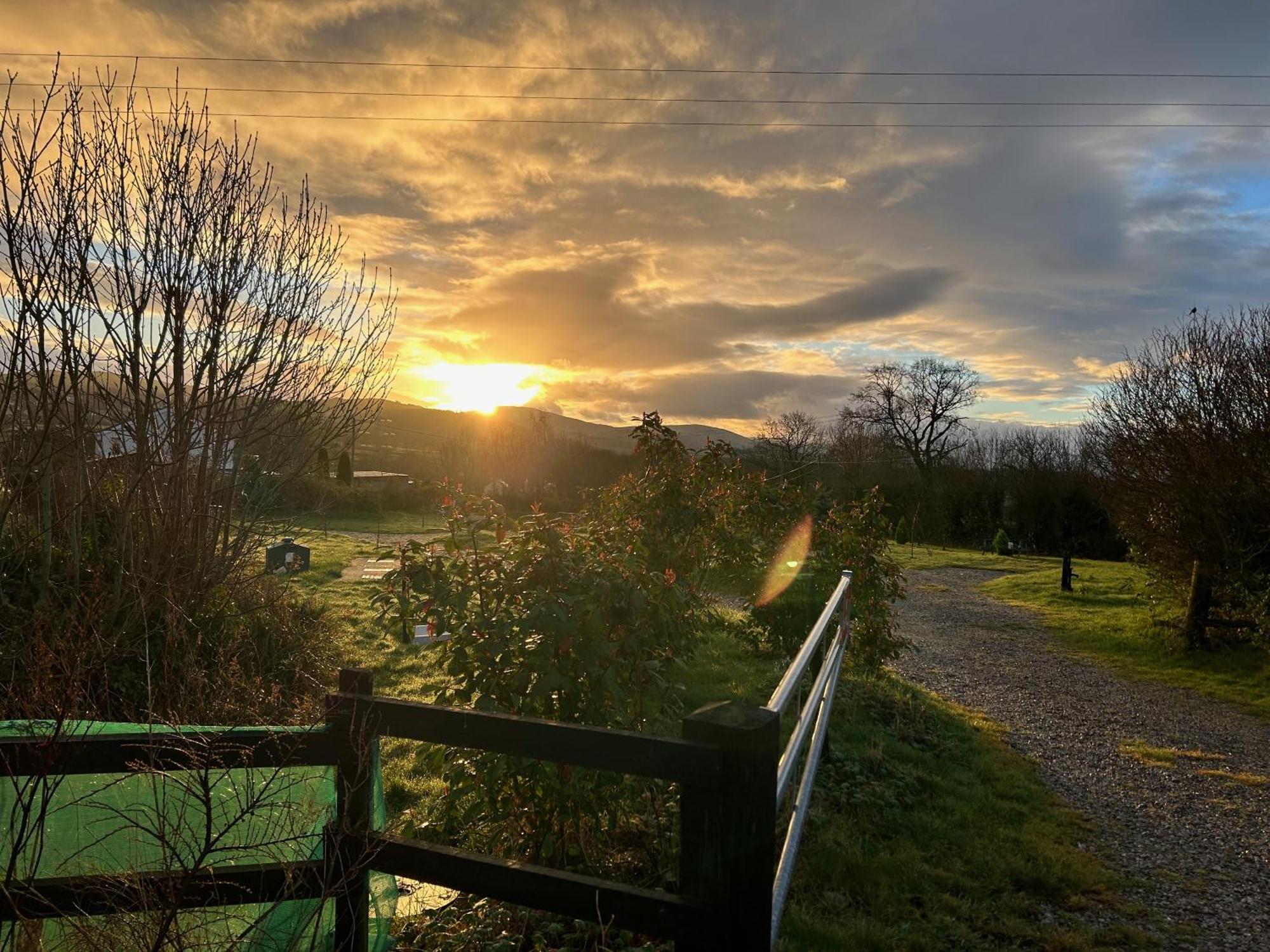 Tafarn Y Waen - Guesthouse St. Asaph Eksteriør billede